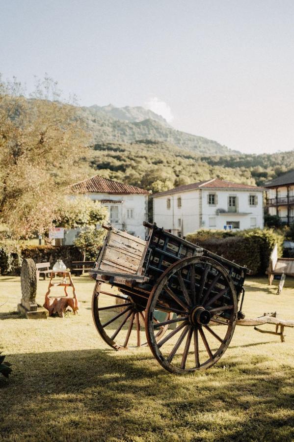 Posada La Casa De Lastras Ogarrio Ngoại thất bức ảnh